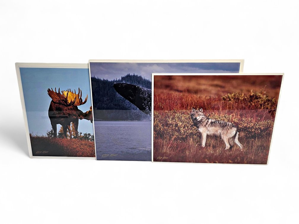 Johnny Johnson "Breach of Worlds", "Romancing the Dawn" & "Toklat" Photographs