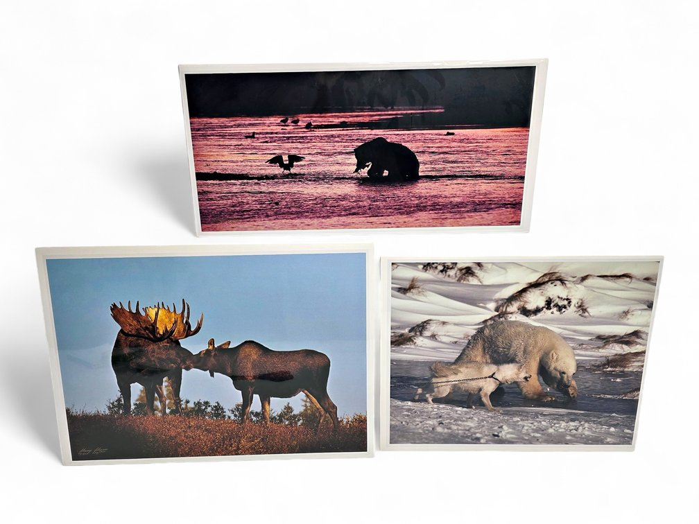 Johnny Johnson "River Dance", "Romancing the Dawn" & "Courage" Photographs