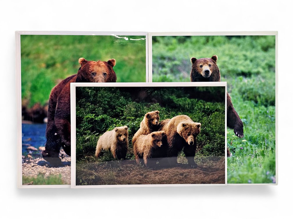 Johnny Johnson "In Harm's Way", "In the Land of Giants" & "The Wild Bunch" Photographs