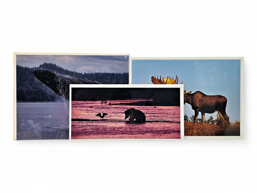 Johnny Johnson "River Dance", "Breach of Worlds" & "Romancing the Dawn" Photographs