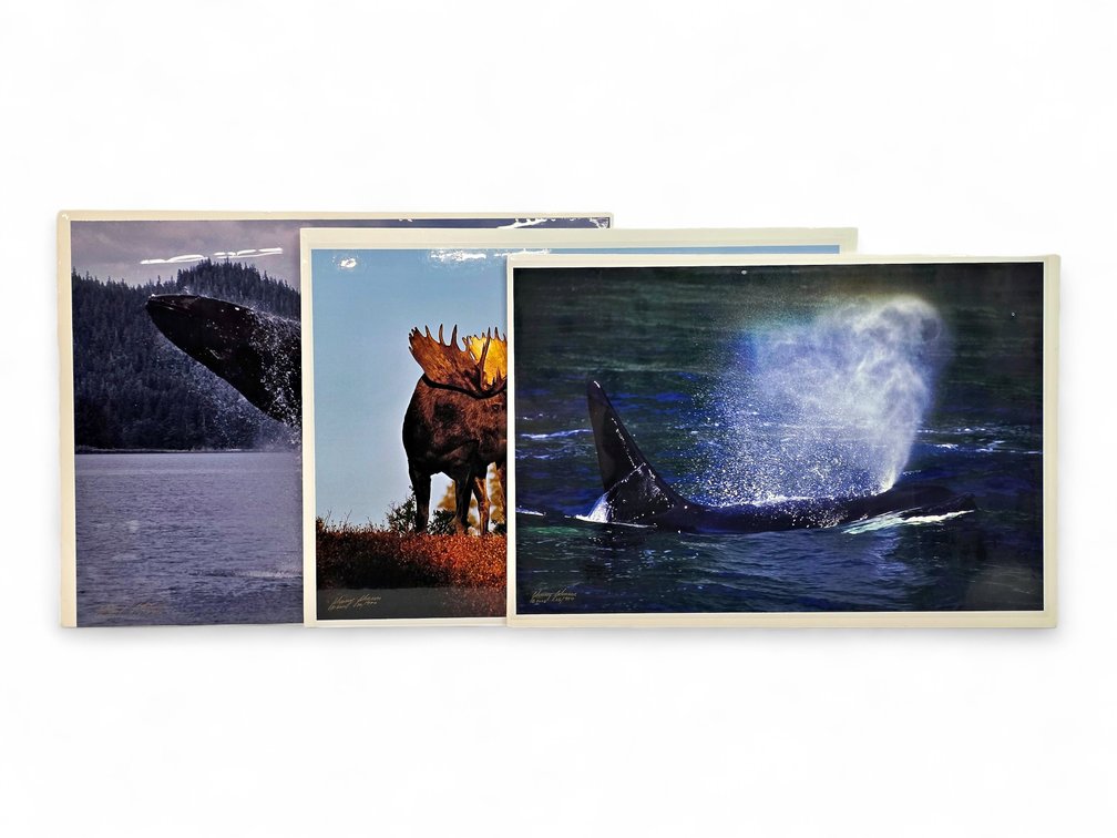 Johnny Johnson "Breach of Worlds", "Romancing the Dawn" & "Sea Wolf" Photographs