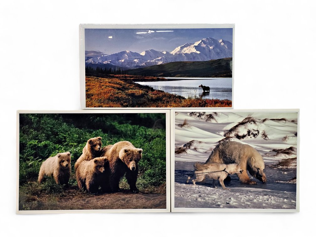 Johnny Johnson "The Wild Bunch", "Courage" & "Wilderness of Denali" Photographs