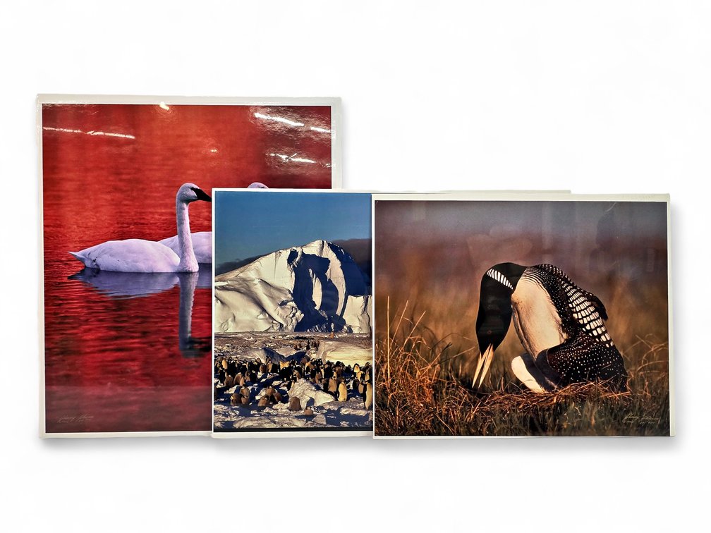 Johnny Johnson "Soul Mates", "Frozen Eden" & "King of the Loons" Photographs