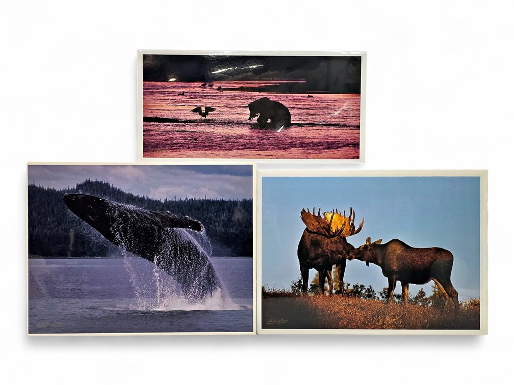 Johnny Johnson "River Dance", "Breach of Worlds" & "Romancing the Dawn" Photographs