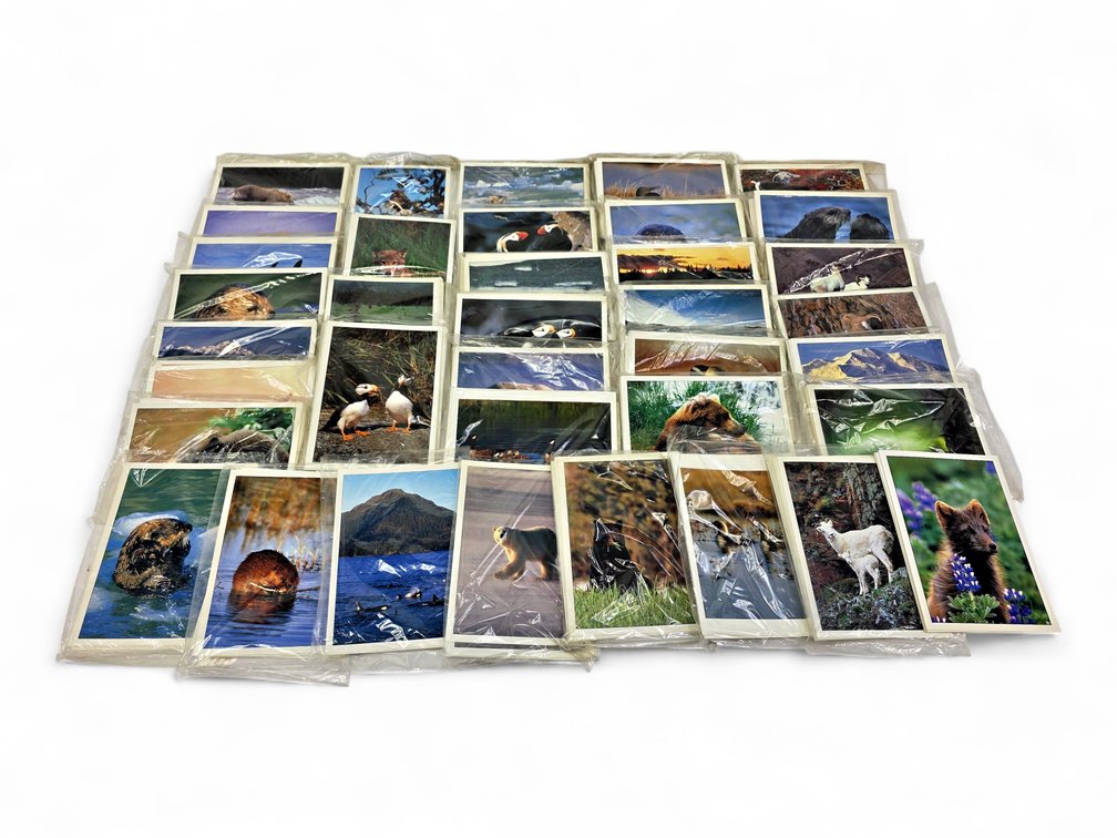 Johnny Johnson's Wild Alaska Notecards & Envelopes - Puffins, Otters & More