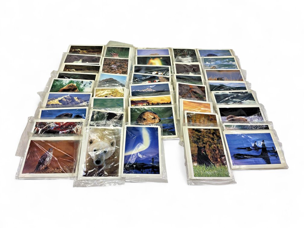 Johnny Johnson's Wild Alaska Notecards & Envelopes - Orcas, Bears & More