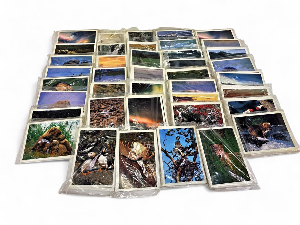 Johnny Johnson's Wild Alaska Notecards & Envelopes - Aurora, Moose & More
