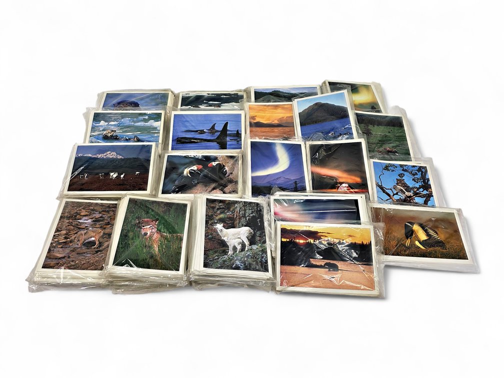 Johnny Johnson's Wild Alaska Notecards & Envelopes - Dall Sheep, Wolf & More