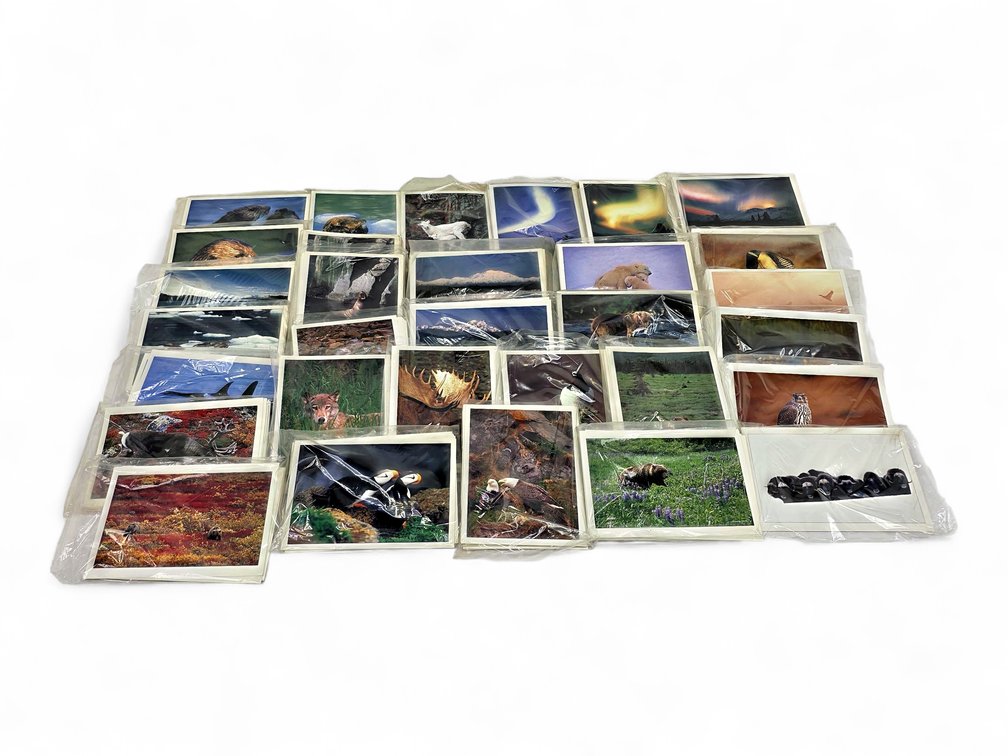 Johnny Johnson's Wild Alaska Notecards & Envelopes - Caribou, Muskoxen & More