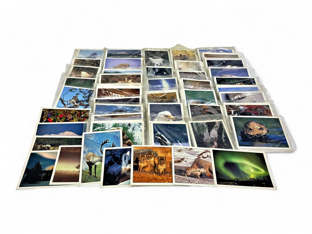 Johnny Johnson's Wild Alaska Notecards & Envelopes - Eagle, Beaver & More