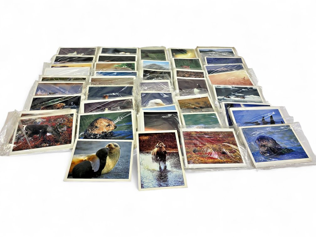 Johnny Johnson's Wild Alaska Notecards & Envelopes - Whale, Loons & More