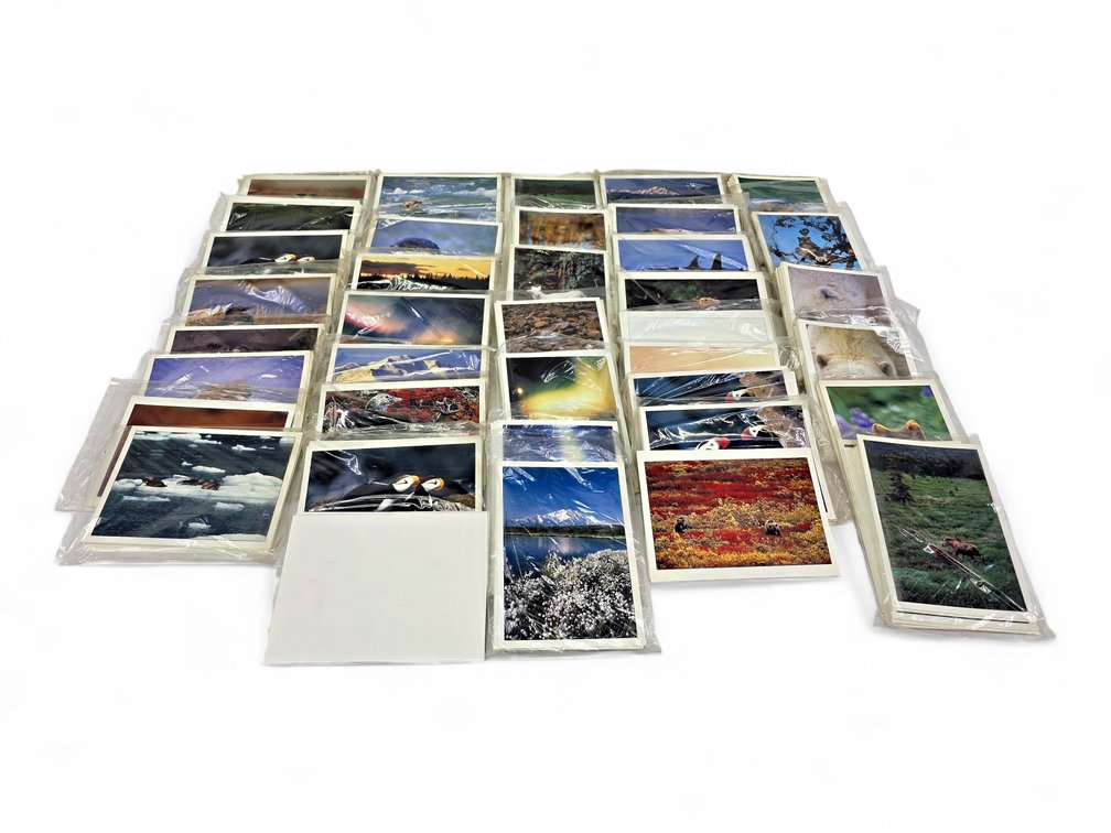 Johnny Johnson's Wild Alaska Notecards & Envelopes - Wolf, Geese & More