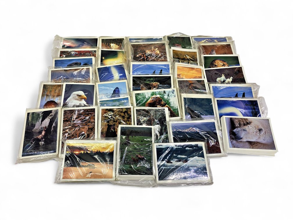 Johnny Johnson's Wild Alaska Notecards & Envelopes - Gyrfalcon, Aurora & More