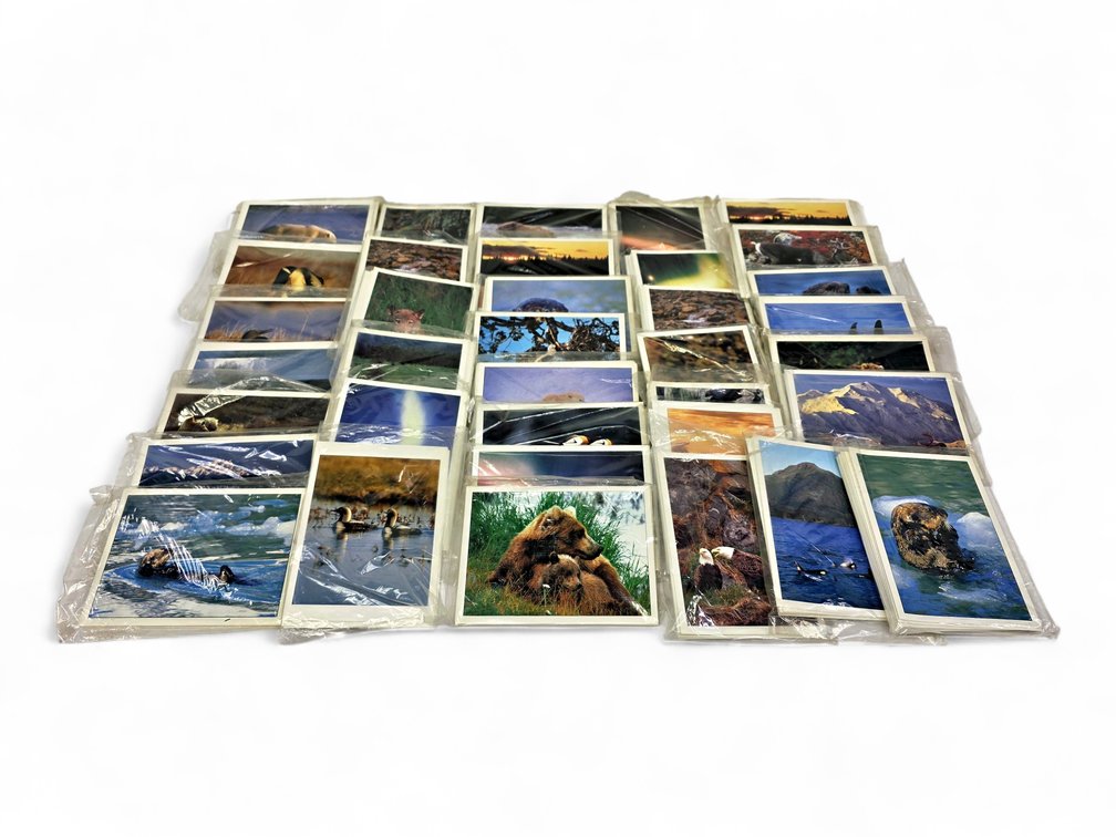 Johnny Johnson's Wild Alaska Notecards & Envelopes - Sea Lion, Otters & More