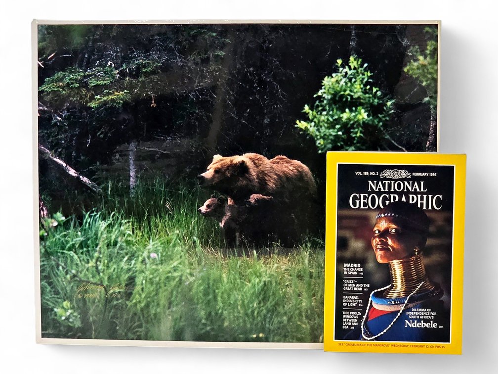 Johnny Johnson "Grizzly Sow and Spring Cubs" Artist's Proof & National Geographic, Feb. 1986