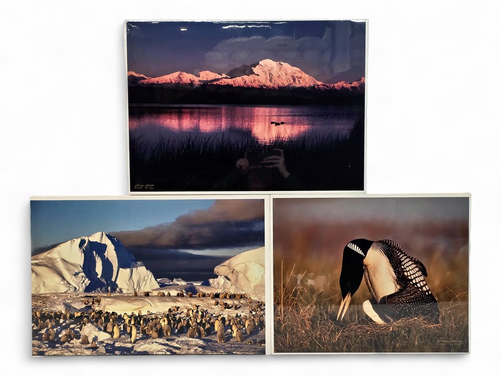 Johnny Johnson "Denali Sunset", "Frozen Eden" & "King of the Loons" Photographs