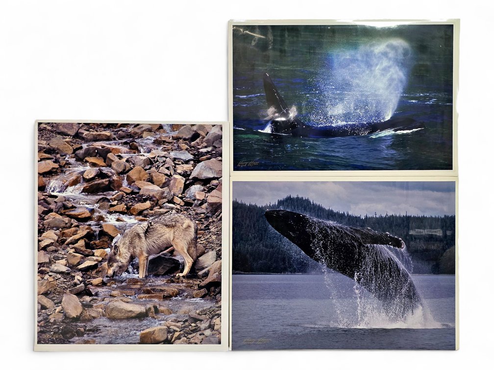 Johnny Johnson "Unseen Presence", "Sea Wolf" & "Breach of Worlds" Photographs