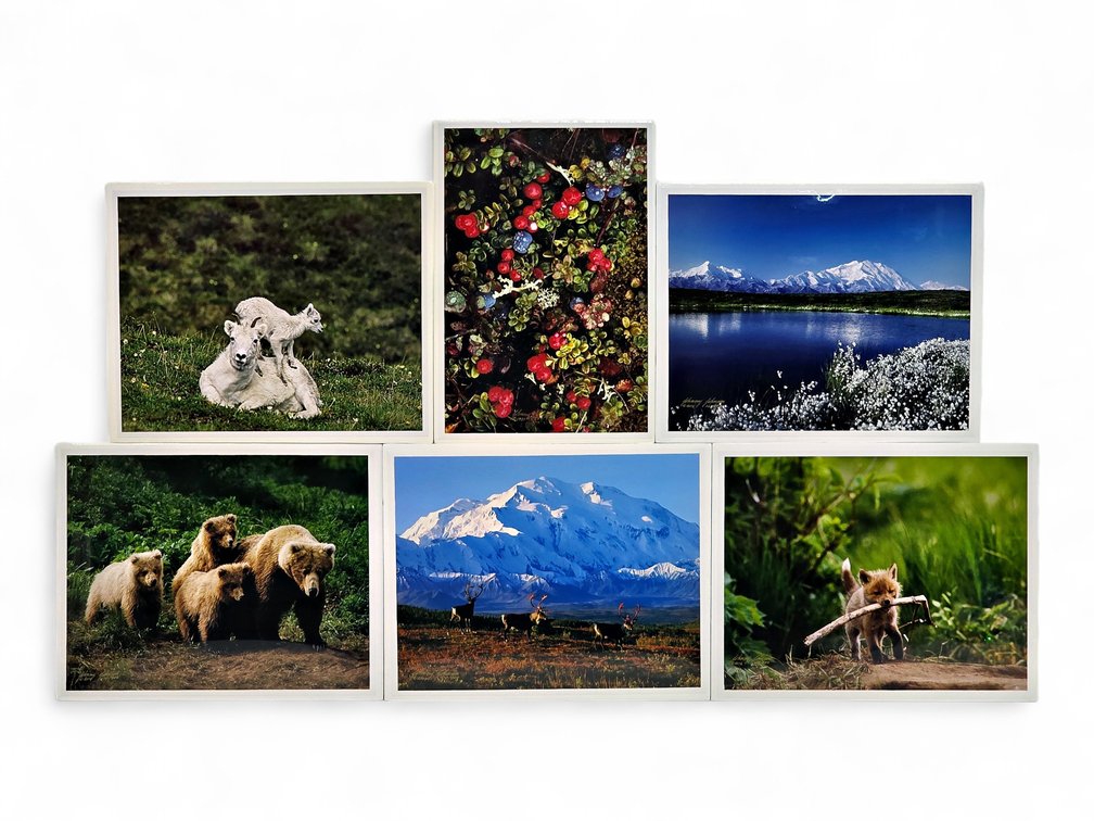 Johnny Johnson "The Wild Bunch", "Sacred Ground", "Go Fetch" Photographs
