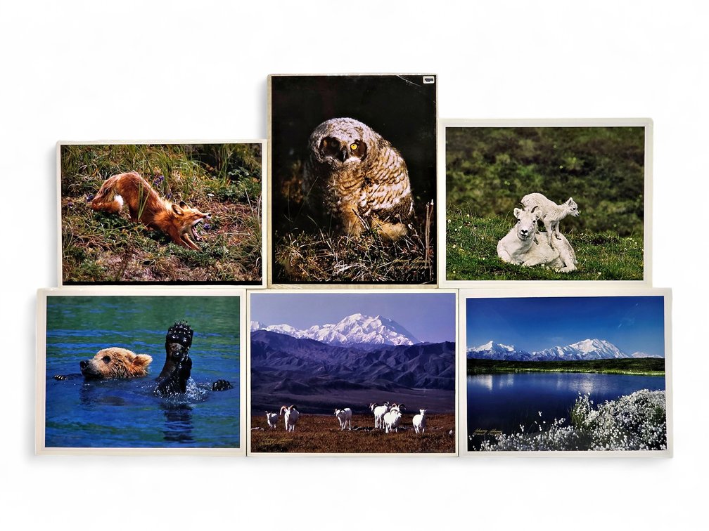 Johnny Johnson "Lazy Day", "Splish Splash" & Four Other Photographs