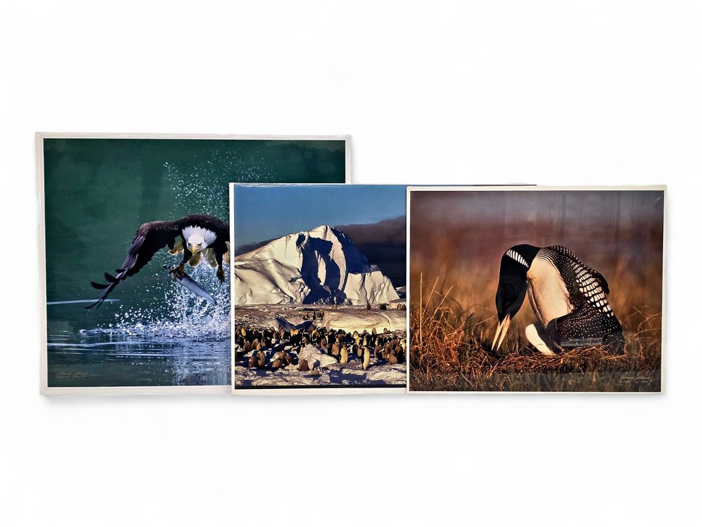Johnny Johnson "Top Gun", "Frozen Eden" & "King of the Loons" Photographs