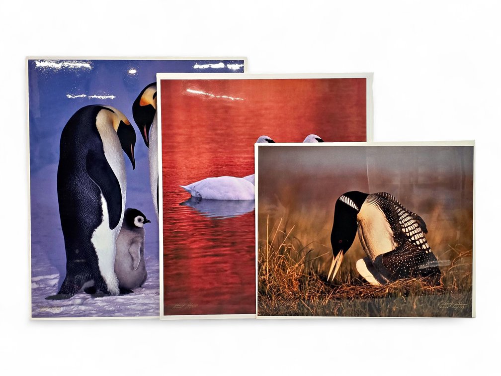 Johnny Johnson "Circle of Life", "Soul Mates" & "King of the Loons" Photographs