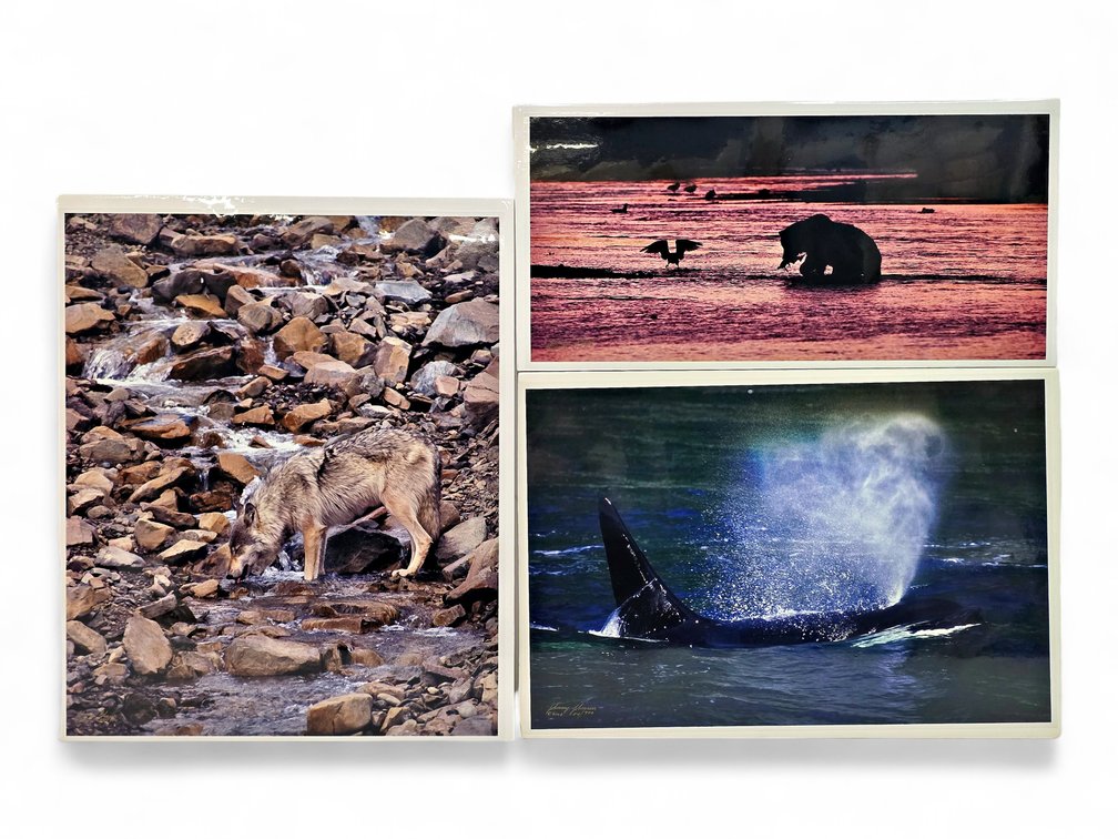 Johnny Johnson "Unseen Presence", "River Dance" & "Sea Wolf" Photographs