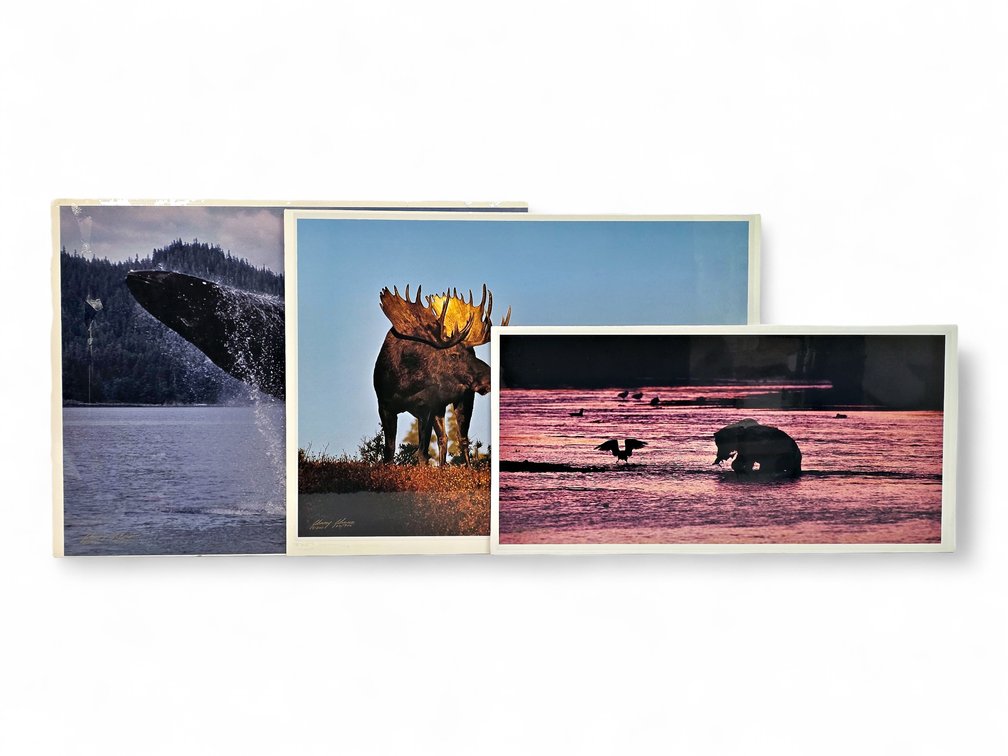 Johnny Johnson "River Dance", "Breach of Worlds" & "Romancing the Dawn" Photographs