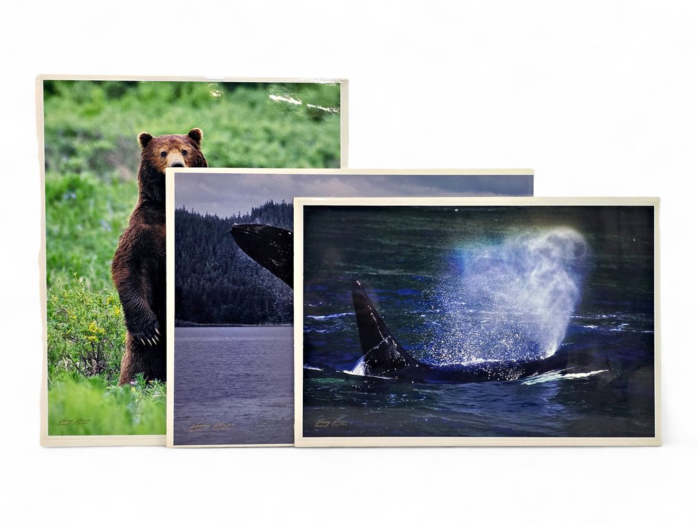 Johnny Johnson "In the Land of Giants", "Breach of Worlds" & "Sea Wolf" Photographs