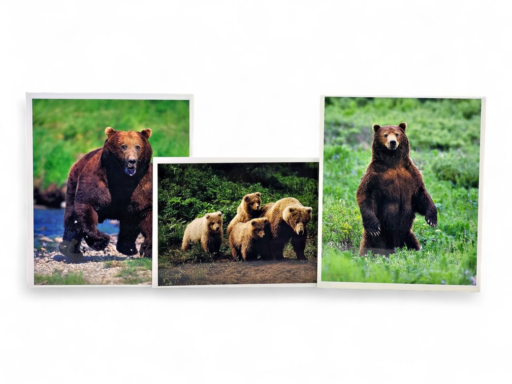 Johnny Johnson "In Harm's Way", "The Wild Bunch" & "In the Land of Giants" Photographs