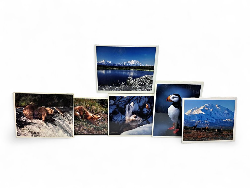 Johnny Johnson "Sacred Ground", "Lazy Day", "Puffed Up" Photographs & More