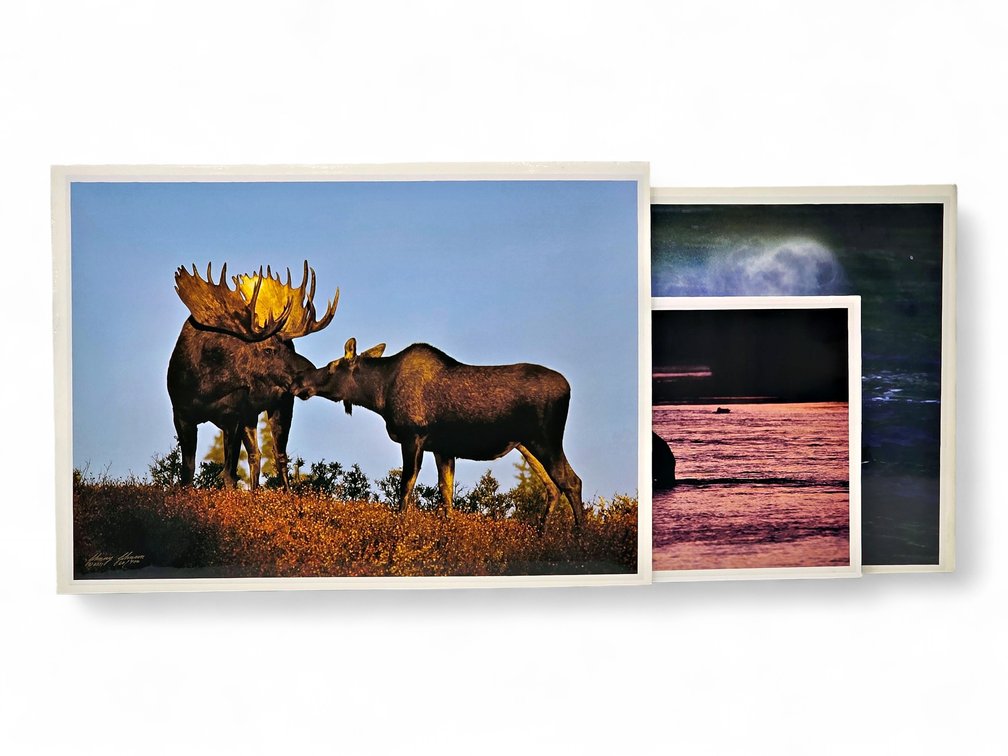 Johnny Johnson "Romancing the Dawn", "River Dance" & "Sea Wolf" Photographs