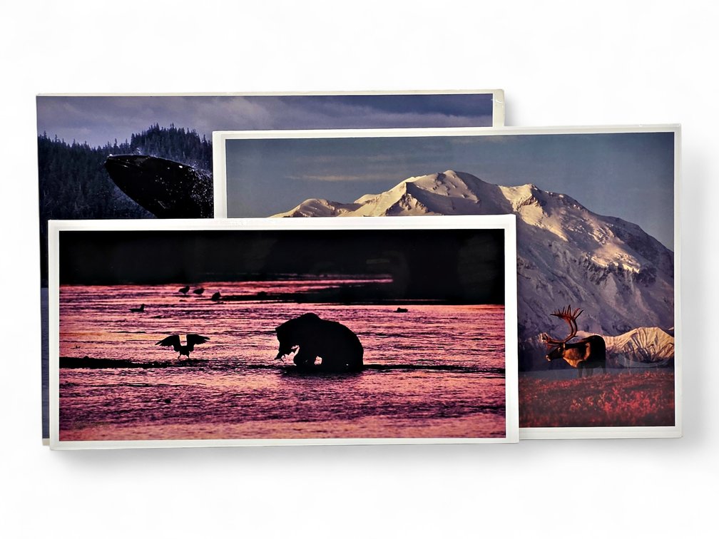 Johnny Johnson "Breach of Worlds", "First Light" & "River Dance" Photographs