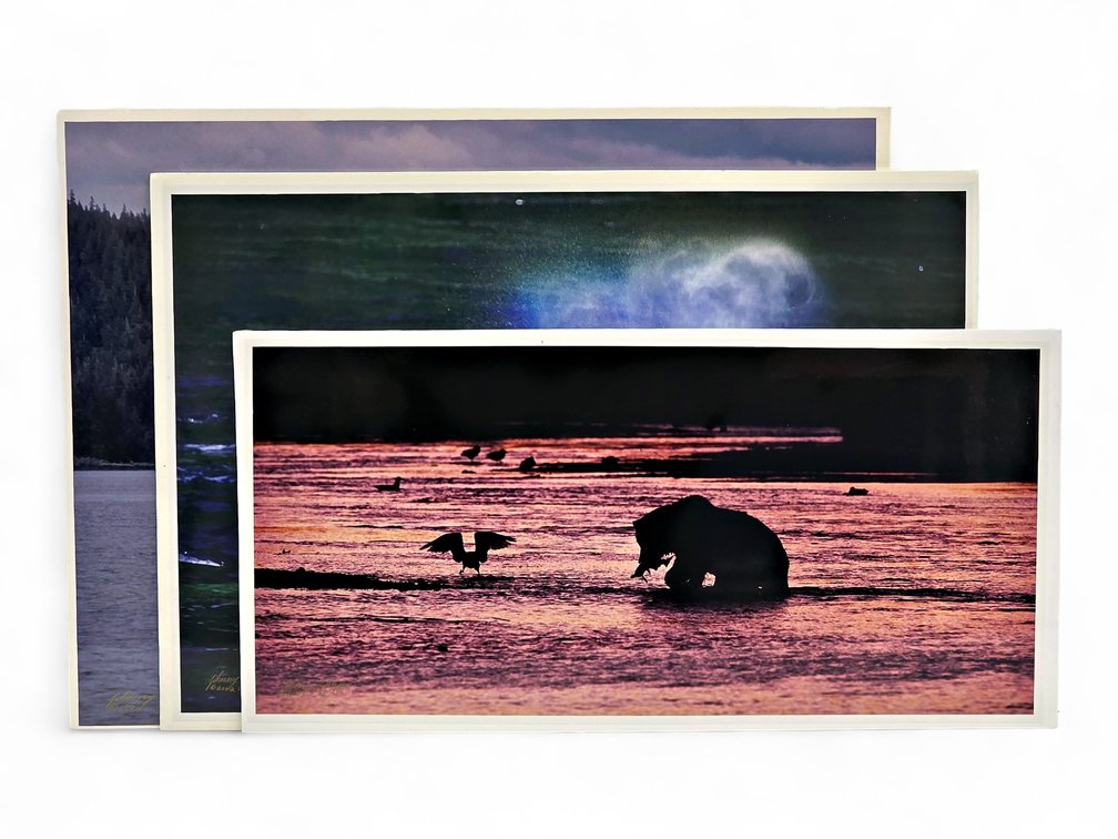 Johnny Johnson "Breach of Worlds", "Sea Wolf" & "River Dance" Photographs