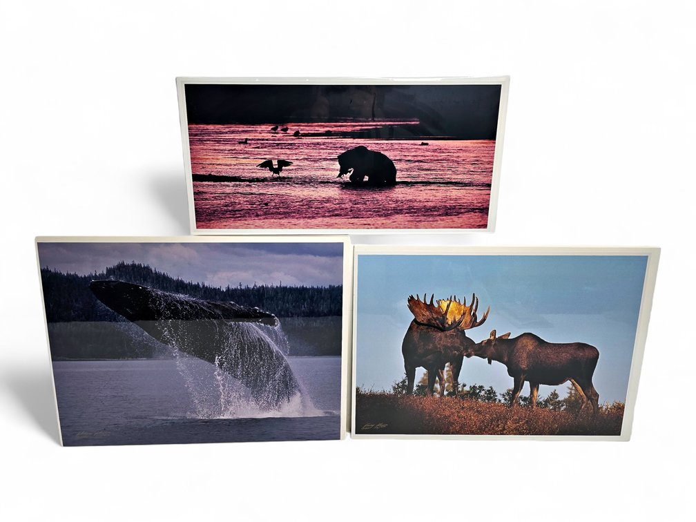 Johnny Johnson "River Dance", "Breach of Worlds" & "Romancing the Dawn" Photographs