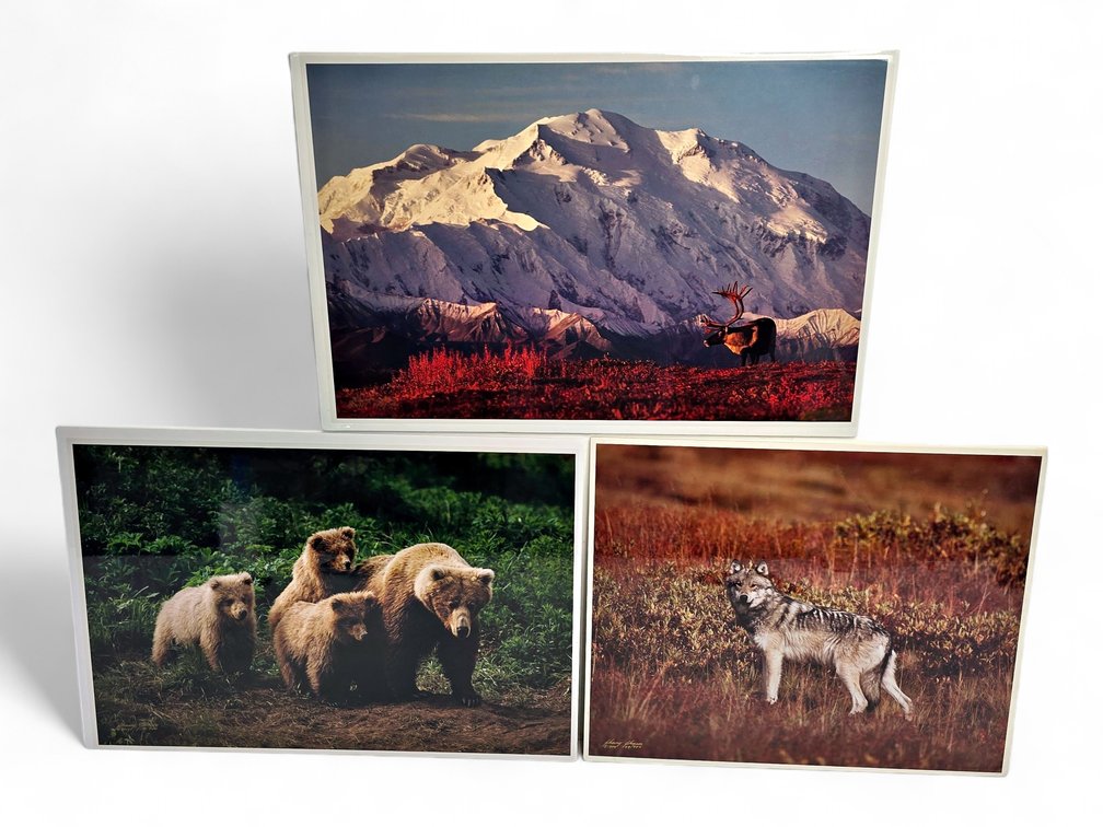 Johnny Johnson "First Light", "The Wild Bunch" & "Toklat" Photographs