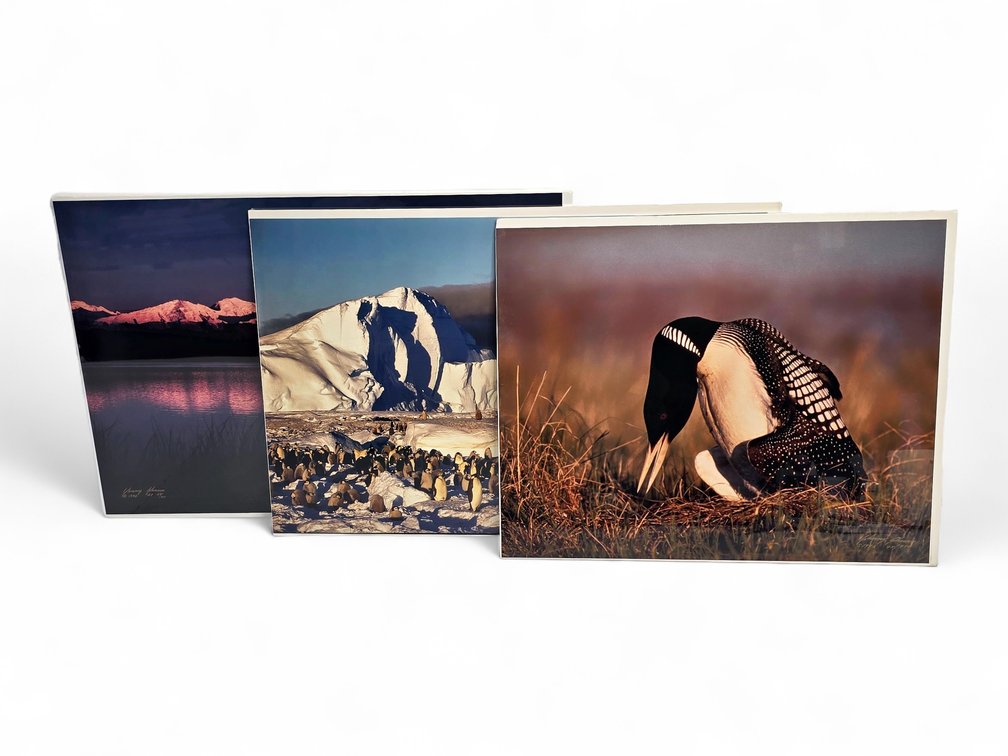 Johnny Johnson "Denali Sunset", "Frozen Eden" & "King of the Loons" Photographs