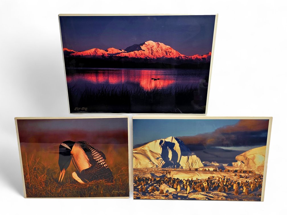 Johnny Johnson "Denali Sunset", "Frozen Eden" & "King of the Loons" Photographs