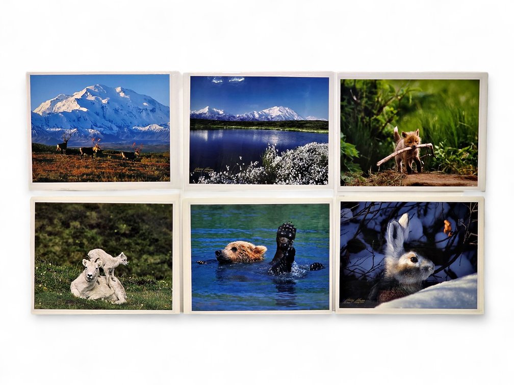 Johnny Johnson "Denali Greets the Dawn", "Splish Splash", "Snow Bunny" Photographs & More