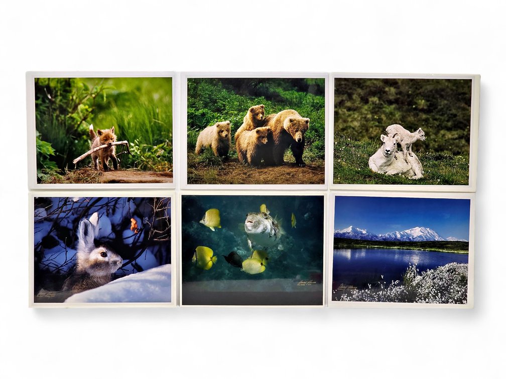 Johnny Johnson "Go Fetch", "The Wild Bunch", "Sacred Ground" Photographs & More