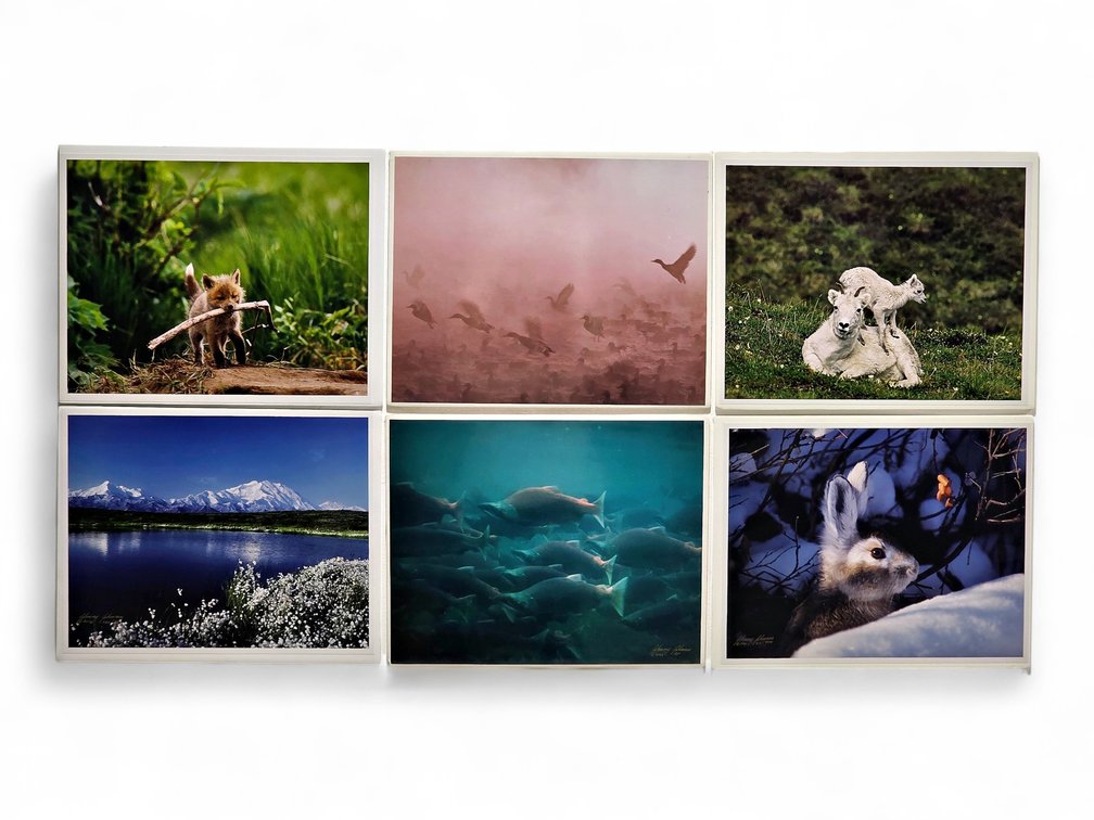 Johnny Johnson "Mallards in the Mist", "Lamb Chop", "Sacred Ground" Photographs & More