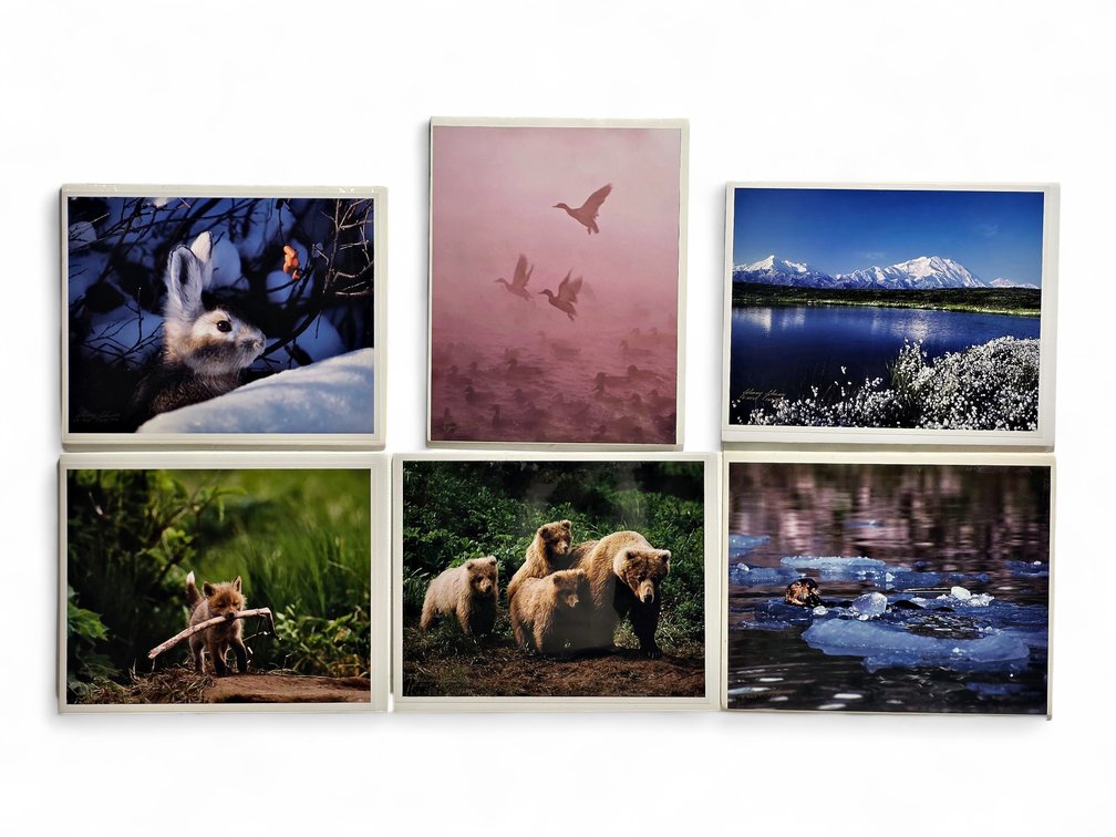 Johnny Johnson "Mallards in the Mist", "The Ice Otter", "The Wild Bunch" Photographs & More