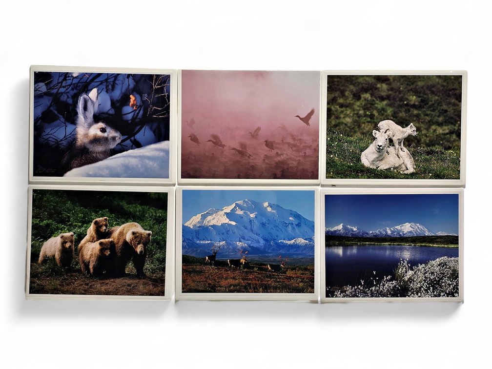 Johnny Johnson "Denali Greets the Dawn", "Mallards in the Mist", "Lamb Chop" Photographs & More