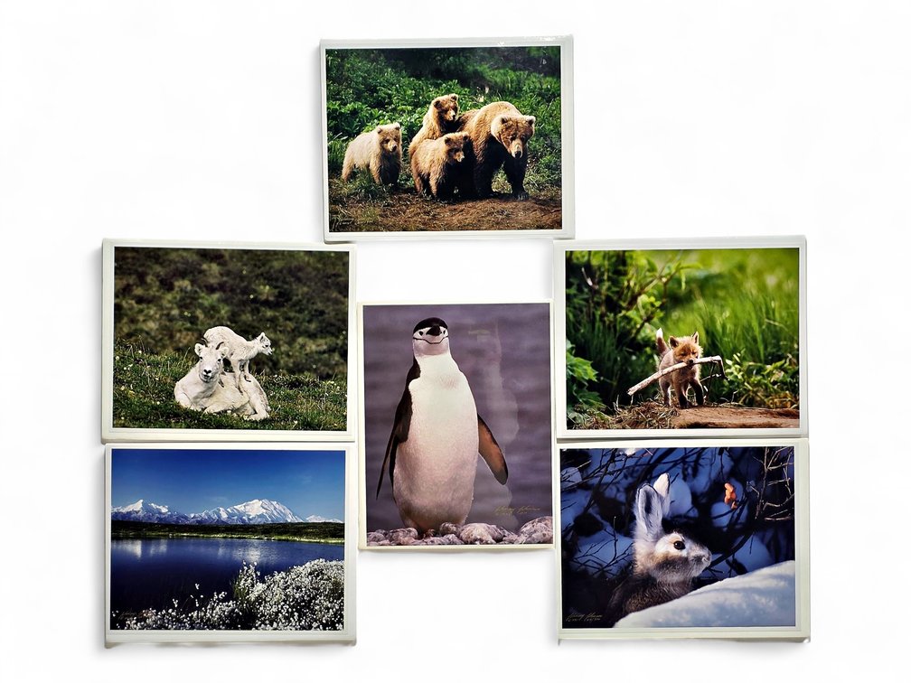 Johnny Johnson "Chinstrap Penguin", "Lamb Chop", "Sacred Ground" Photographs & More
