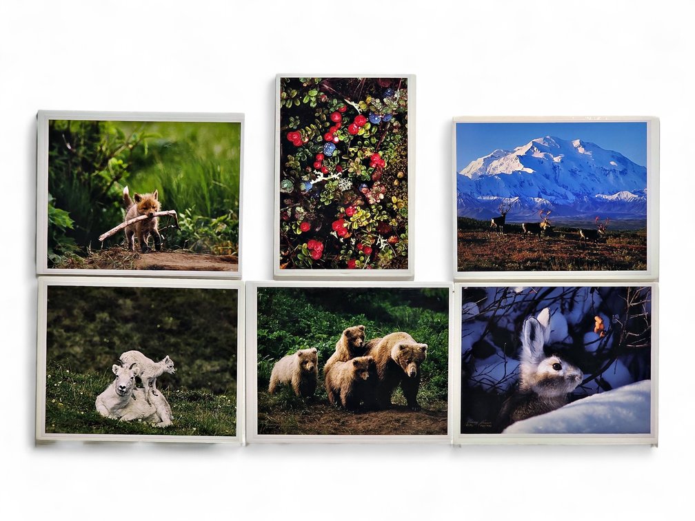Johnny Johnson "Autumn Tundra", "Denali Greets the Dawn", "Snow Bunny" Photographs & More