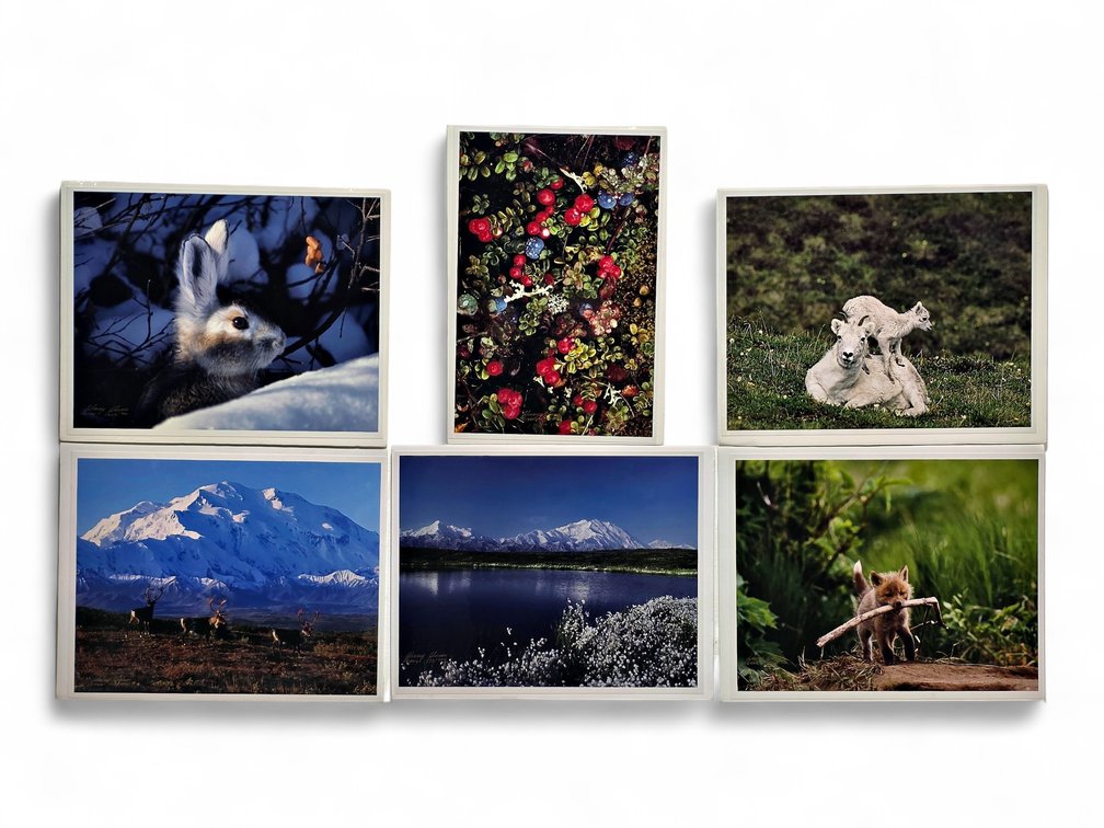 Johnny Johnson "Autumn Tundra", "Denali Greets the Dawn", "Snow Bunny" Photographs & More