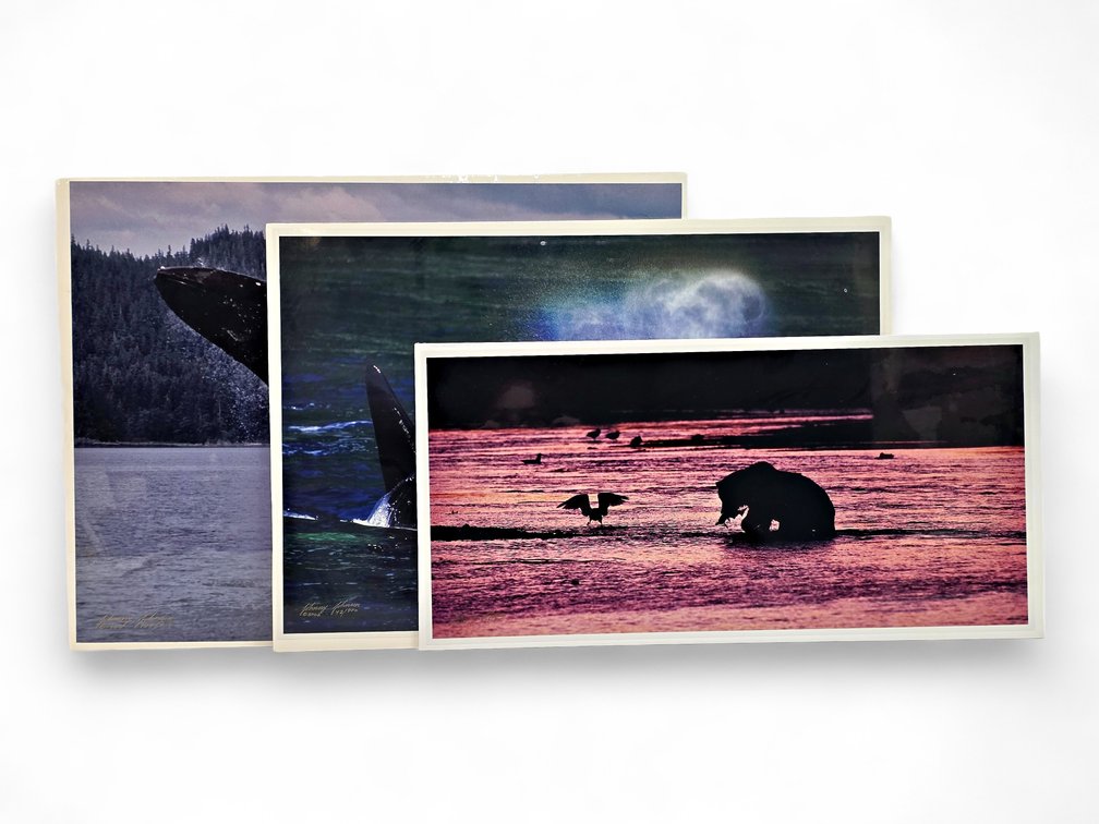 Johnny Johnson "Breach of Worlds", "Sea Wolf" & "River Dance" Photographs