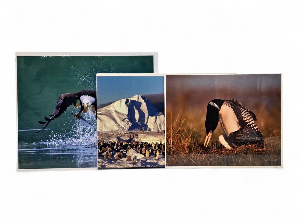 Johnny Johnson "Top Gun", "Frozen Eden" & "King of the Loons" Photographs
