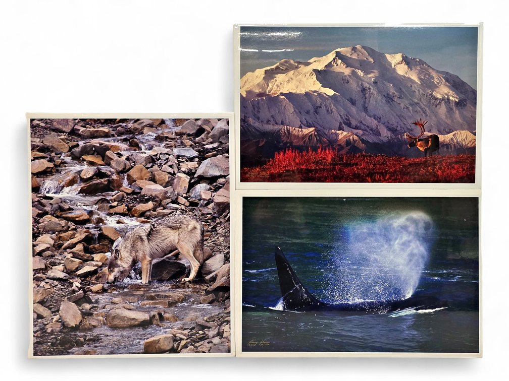 Johnny Johnson "Unseen Presence", "First Light" & "Sea Wolf" Photographs