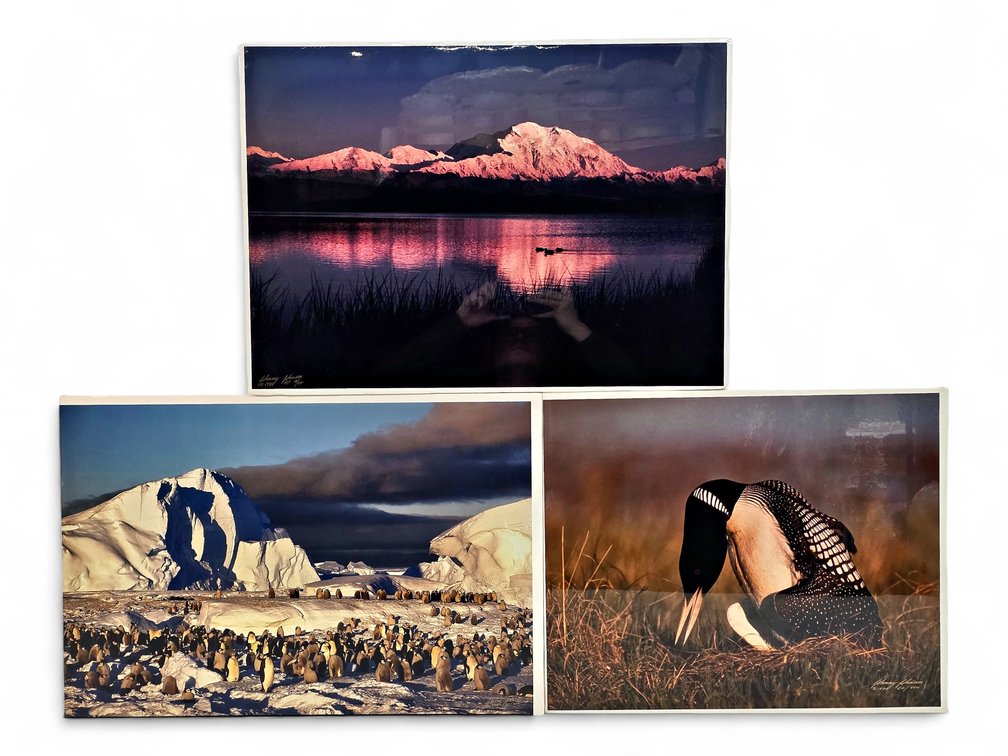 Johnny Johnson "Denali Sunset", "Frozen Eden" & "King of the Loons" Photographs