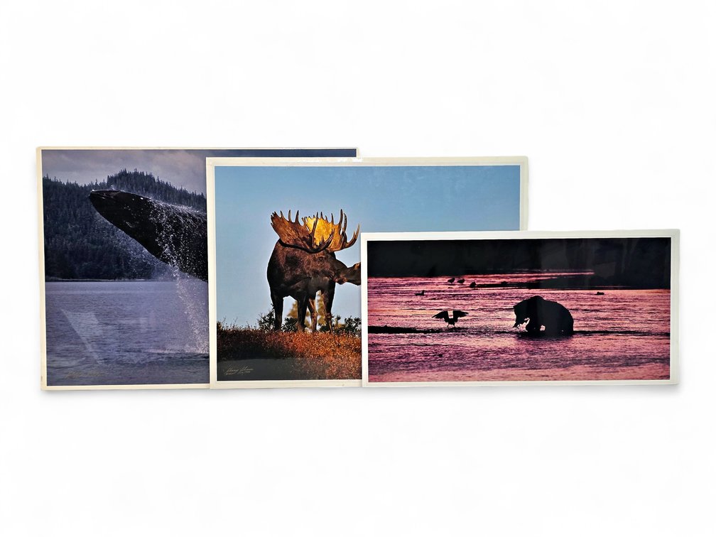 Johnny Johnson "River Dance", "Breach of Worlds" & "Romancing the Dawn" Photographs